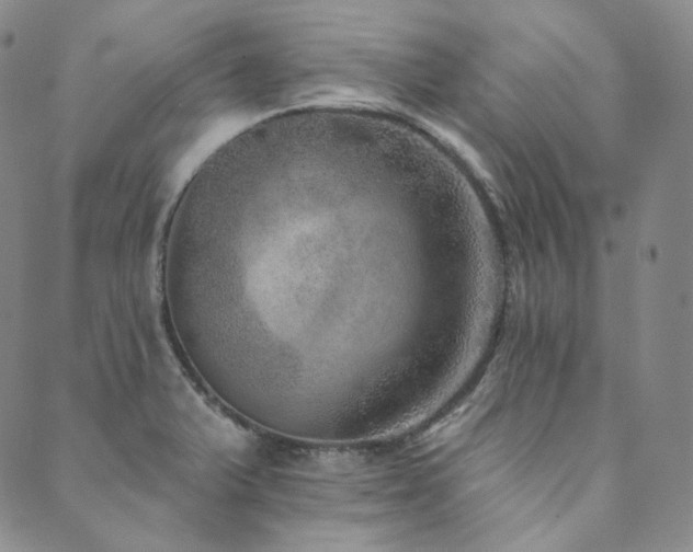 X0000089881375200706281339