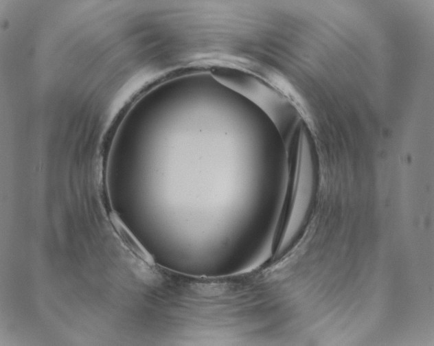 X0000089881376200706281339