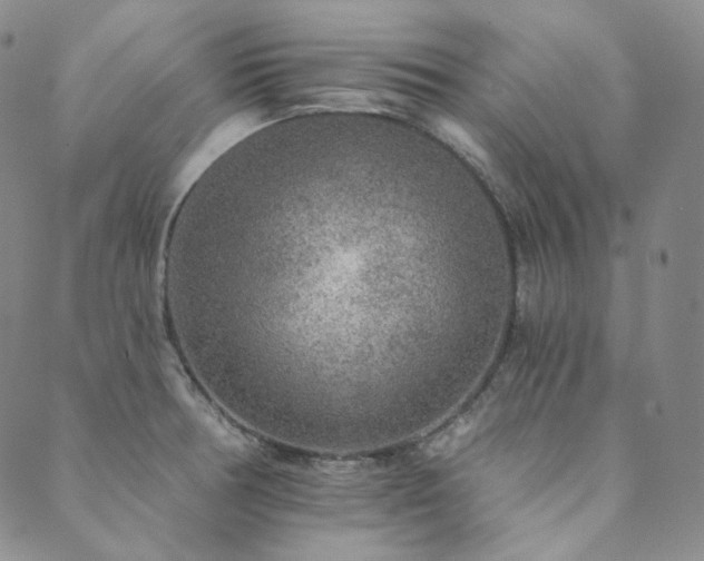 X0000089881378200706281339