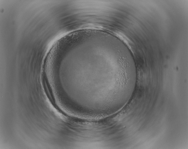 X0000089881379200706281339