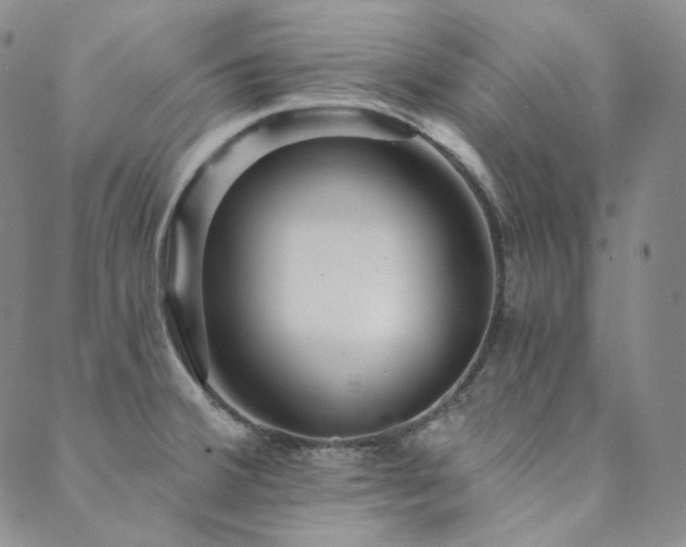 X0000089881380200706281339