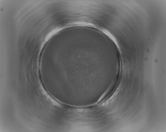 X0000089881381200706281339