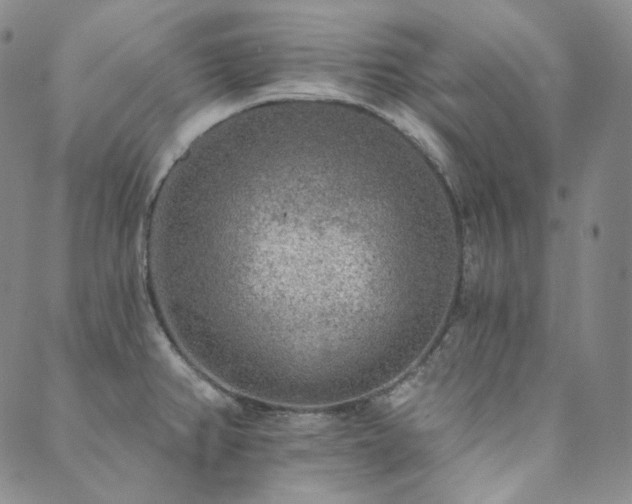 X0000089881382200706281339