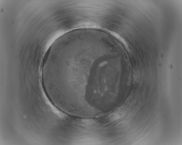 X0000089881383200706281339