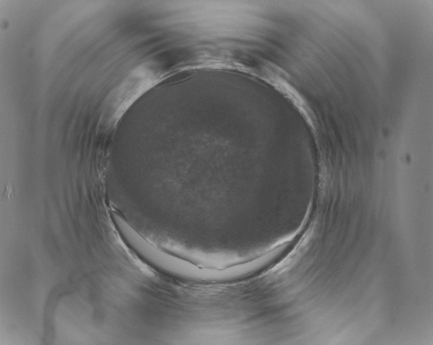 X0000089881385200706281339