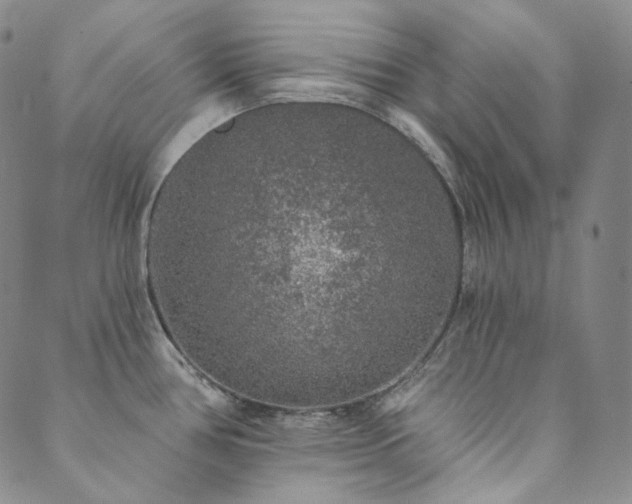 X0000089881386200706281339