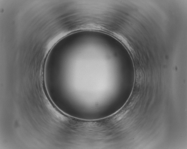 X0000089881387200706281339