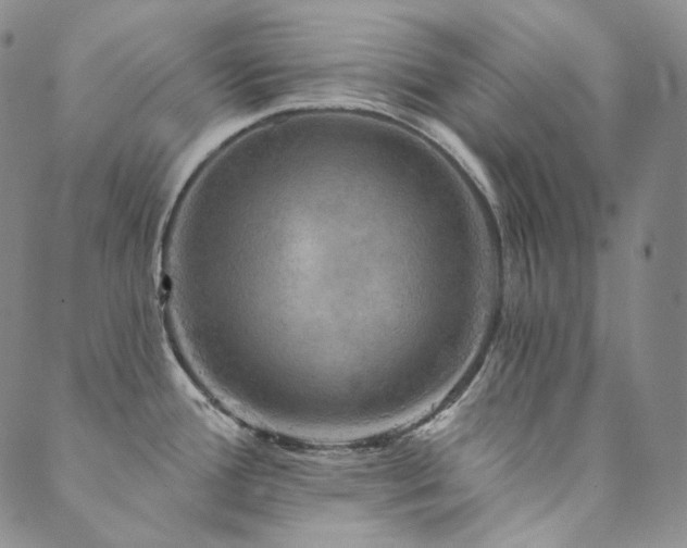 X0000089881388200706281339