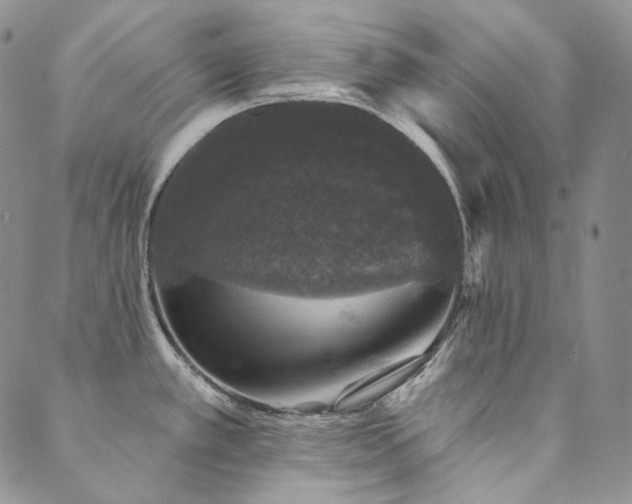 X0000089881389200706281339