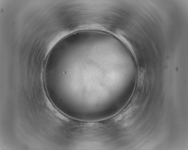 X0000089881390200706281339