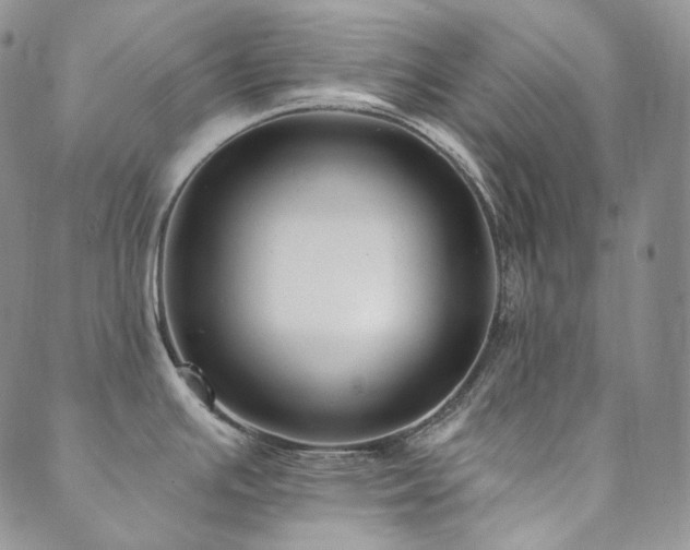 X0000089881391200706281339