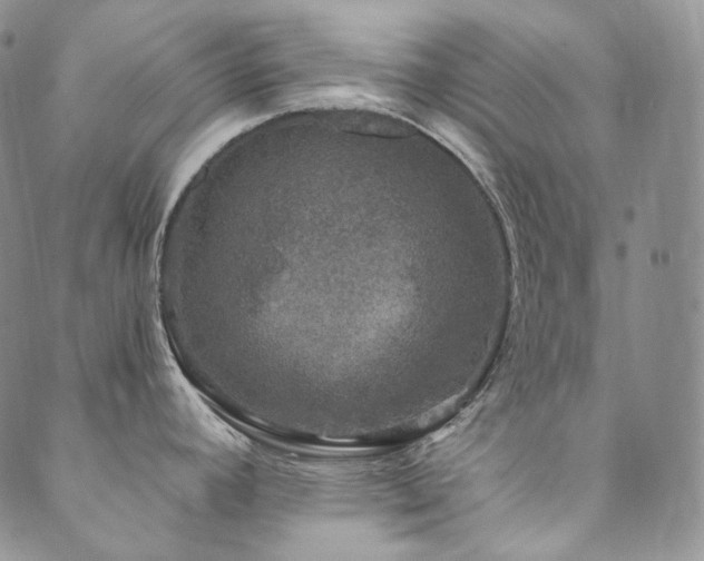 X0000089881392200706281339