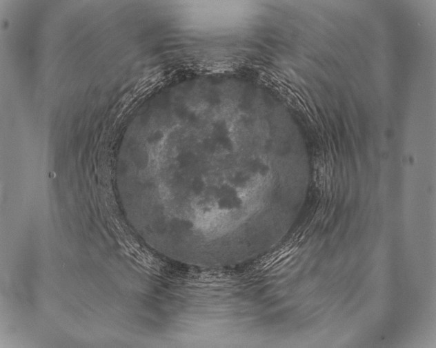 X0000089881393200706281338