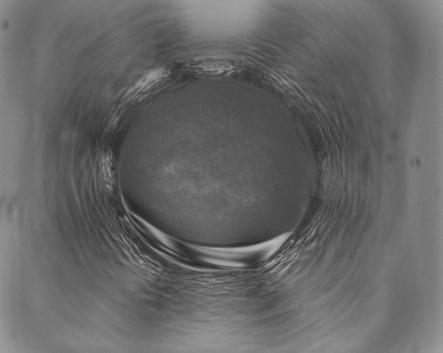 X0000089881394200706281338