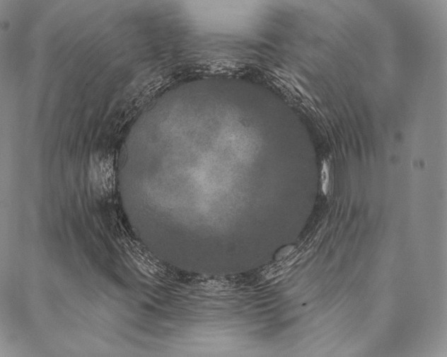 X0000089881395200706281338