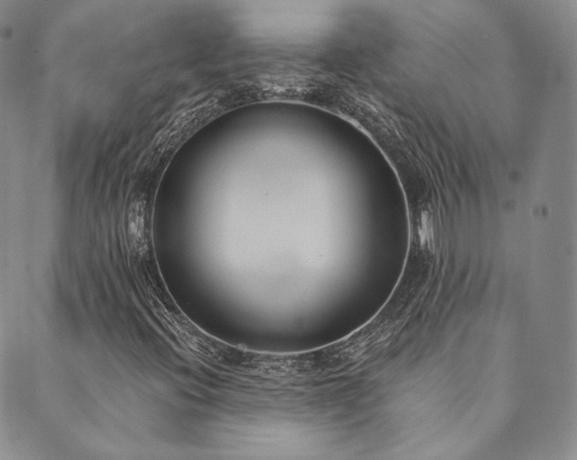 X0000089881396200706281338