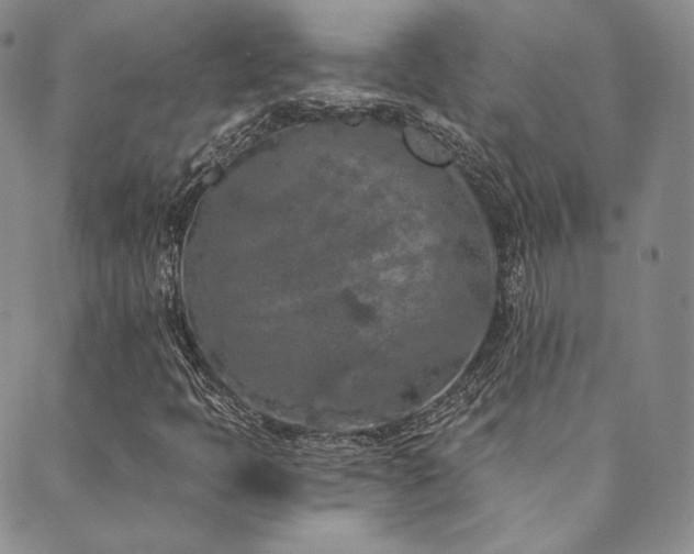 X0000089881397200706281338