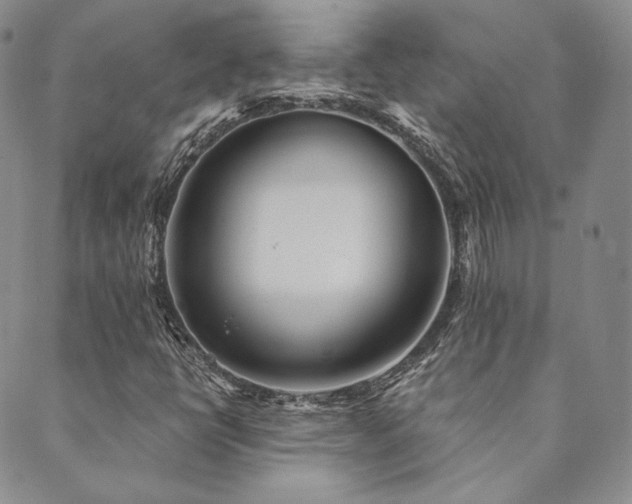 X0000089881398200706281338