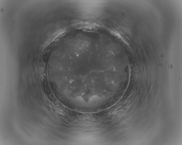 X0000089881399200706281338