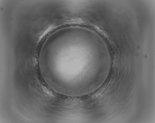 X0000089881400200706281338