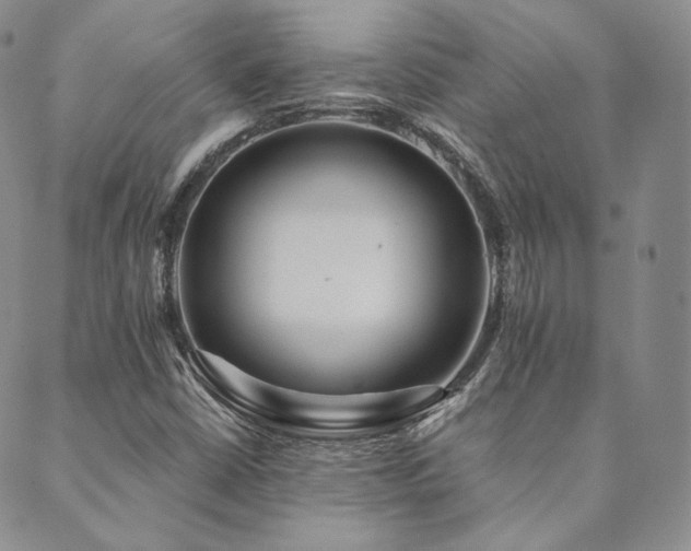 X0000089881402200706281338