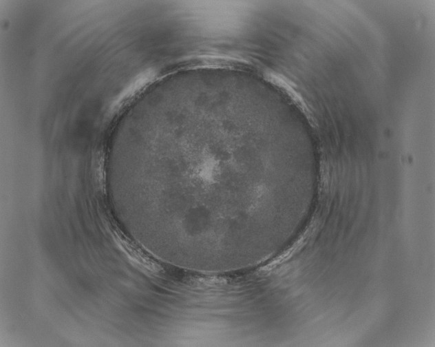 X0000089881403200706281338