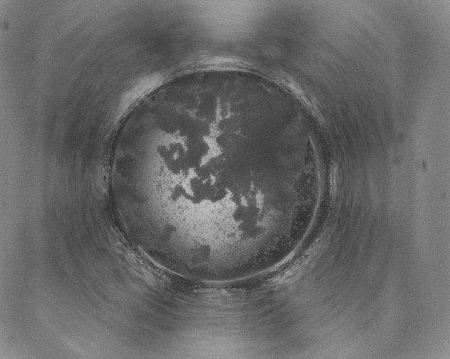 X0000089881405200706281338