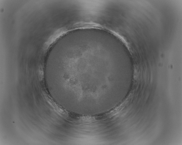 X0000089881407200706281338