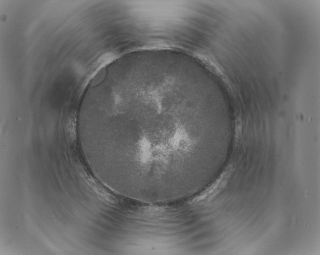 X0000089881409200706281338