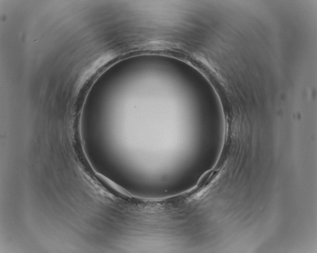 X0000089881410200706281338