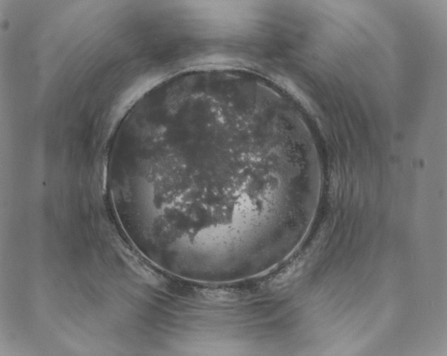 X0000089881413200706281338