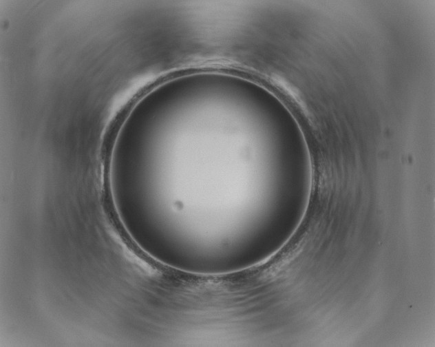 X0000089881414200706281338