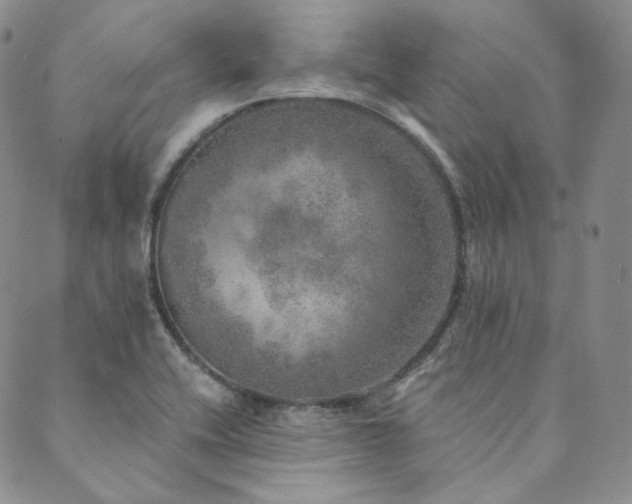 X0000089881416200706281338