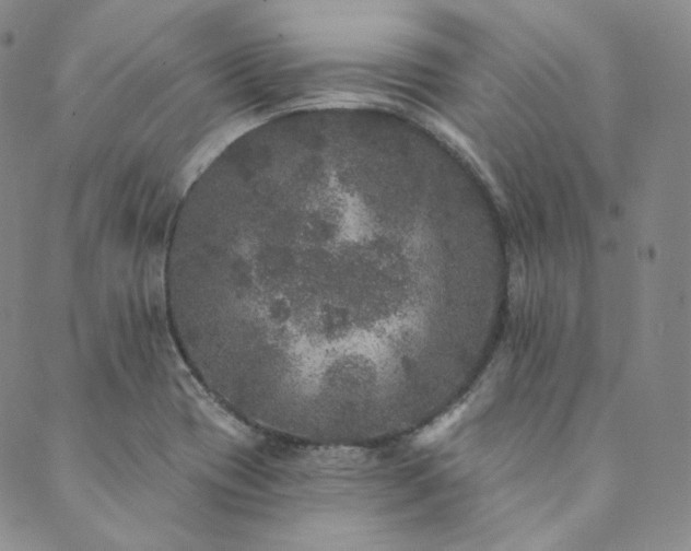 X0000089881417200706281338