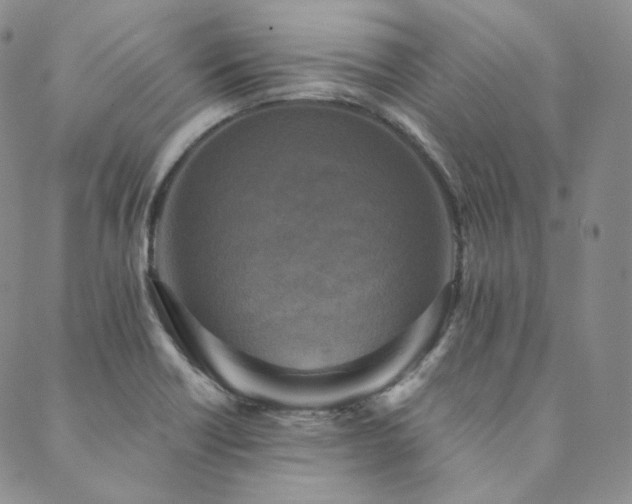 X0000089881418200706281338