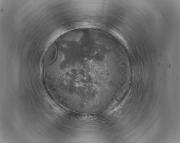 X0000089881419200706281338