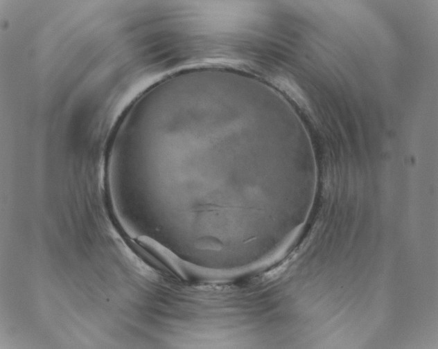 X0000089881420200706281338