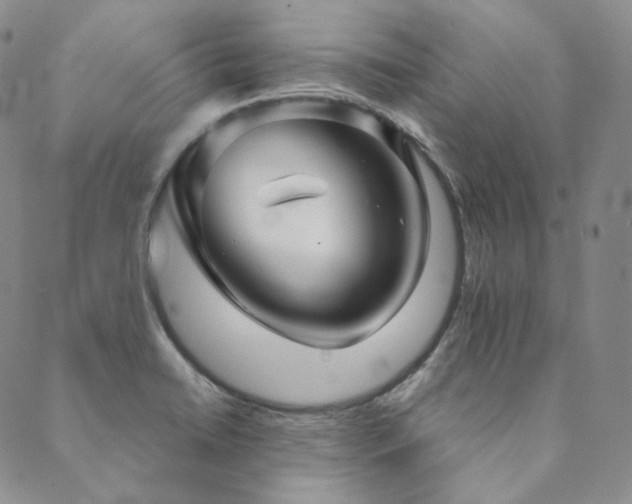 X0000089881422200706281338