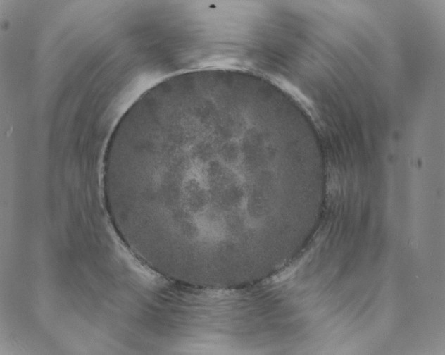 X0000089881423200706281338