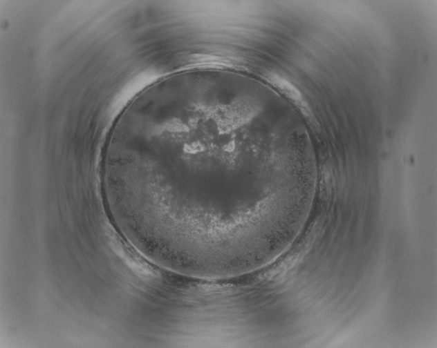 X0000089881427200706281338