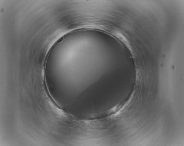 X0000089881428200706281338