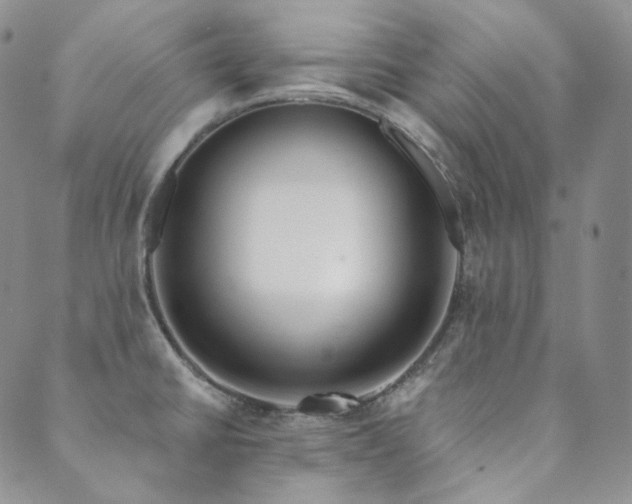 X0000089881430200706281338