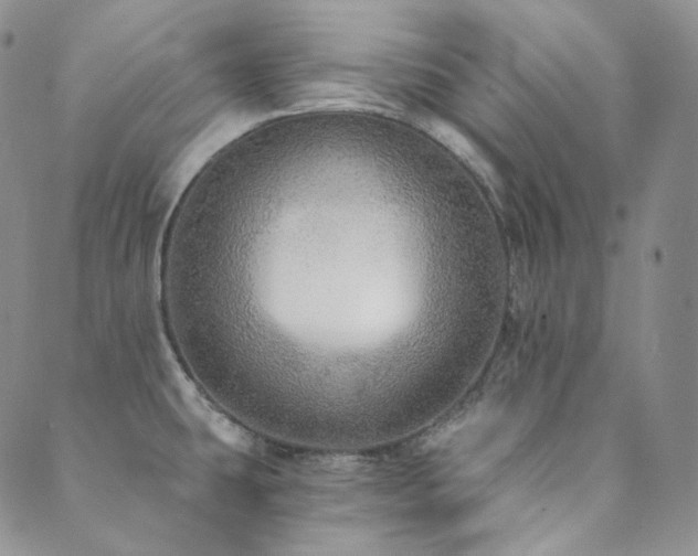 X0000089881431200706281338