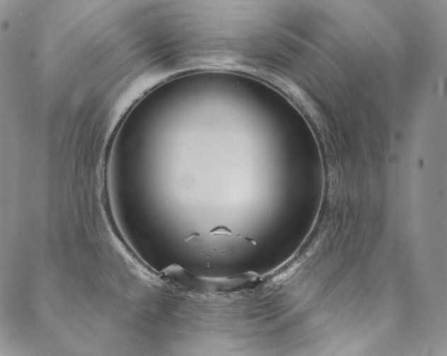 X0000089881432200706281338