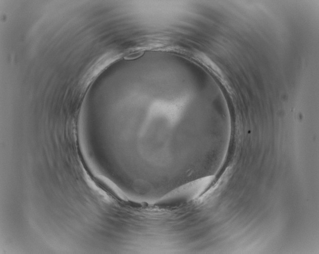 X0000089881433200706281338