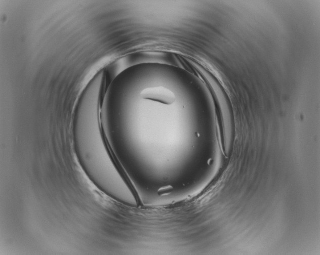 X0000089881434200706281339