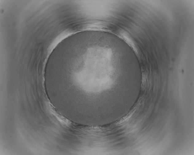 X0000089881435200706281339