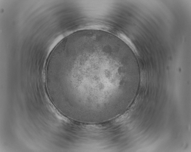 X0000089881436200706281339