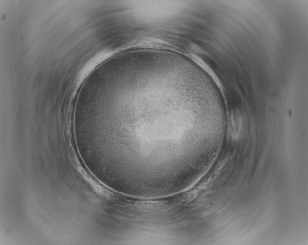 X0000089881437200706281339