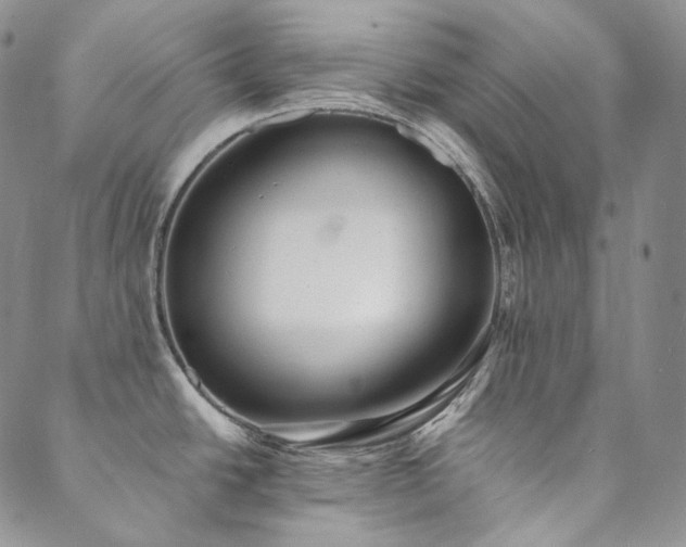 X0000089881438200706281339